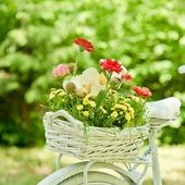 User avatar for Ilijana BrkanoviĆ