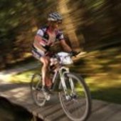 User avatar for Greig Brown