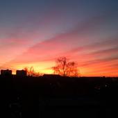 User avatar for Emilija Čegec