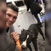 User avatar for Filip Serdar