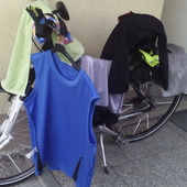 User avatar for Darko Kurko