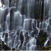 User avatar for Rachel Eggers