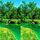 User avatar for Antonio Hodak