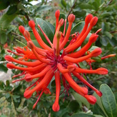 User avatar for Freda Sherburne