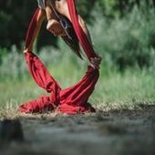 User avatar for Arijana Aska