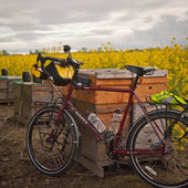 User avatar for Brad Tedrow