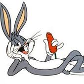 User avatar for Sanela Krušić