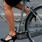 User avatar for Cathy Cromett