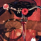 User avatar for Ana Vugrin