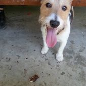 User avatar for Zvonimir Ivančić