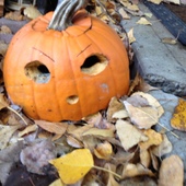 User avatar for MaryLiz Critchlow