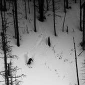 User avatar for Katherine Jondro