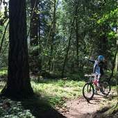 User avatar for Mercedes Salles