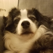 User avatar for Justin Wells