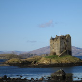 User avatar for Alison Hardman