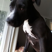 User avatar for Anson MacColl