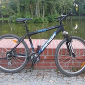 User avatar for Fedja Kalebic