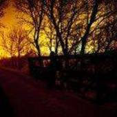 User avatar for Nick Hoffman