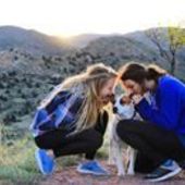 User avatar for Sj Renfroe