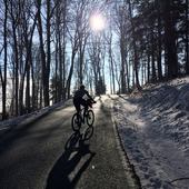 User avatar for Ante Ivas