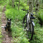 User avatar for Steve Severance