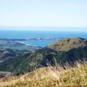 User avatar for Bridget Guerin