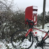 User avatar for Heidi Lea