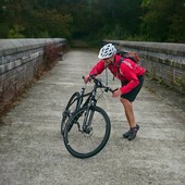 User avatar for Chris Harwood