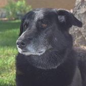 User avatar for David Rosecrans