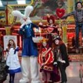 User avatar for Abi Falkner