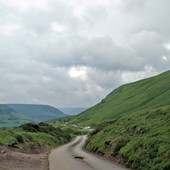 User avatar for Al Pagan