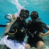 User avatar for Anna Neil