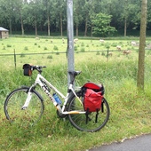 User avatar for Csd Brink