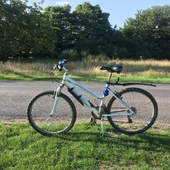 User avatar for Janice Edwards