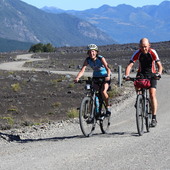 User avatar for Lynne Davenport