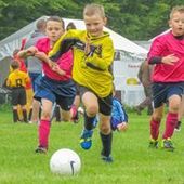 User avatar for Jay Harris