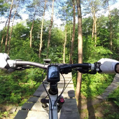 User avatar for Foxtrot 777