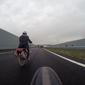 User avatar for Bi Mi