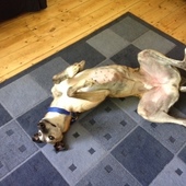 User avatar for Alan Beswick