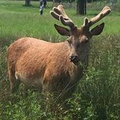 User avatar for Biddy Mc Gregor