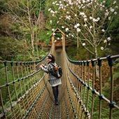 User avatar for Elena Herrero Martin