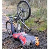 User avatar for William Turton Nettey