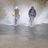 User avatar for andrew cockbill