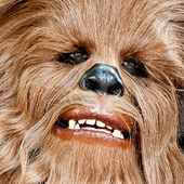 User avatar for Adam Wilson