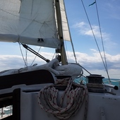 User avatar for Marzia Pentimalli