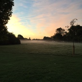 User avatar for Fruit And Muesli Powered