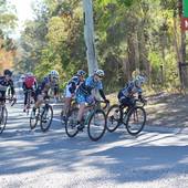 User avatar for Sue Dingas