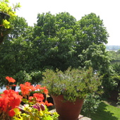 User avatar for Douglas Johnson