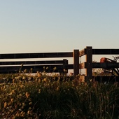 User avatar for Andrea Kapko