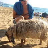 User avatar for Davide Biasoni